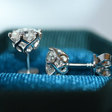 Load image into Gallery viewer, Earrings