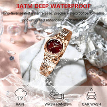 Load image into Gallery viewer, Casual Dress Ladies Watch